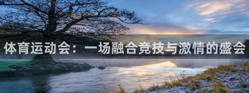 3377体育官方平台体育：体育运动会：一场融合竞技与激情的盛