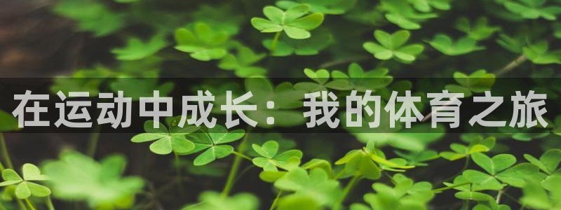 3377体育官网下载招商电话地址是多少：在运动中成长