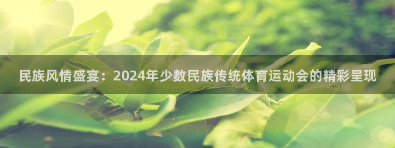 3377体育官网下载招商电话是多少：民族风情盛宴：2024年