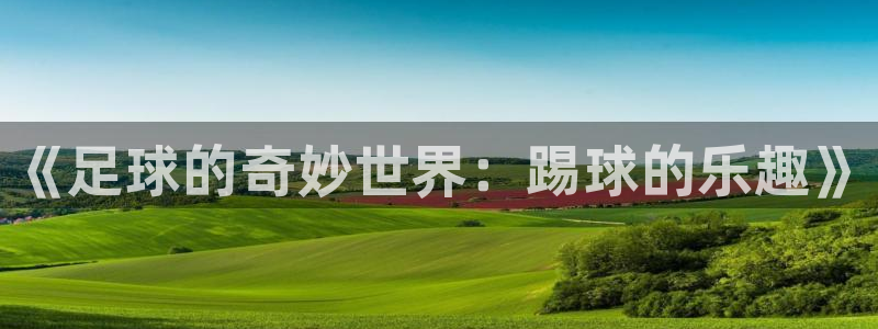 3377体育官网下载招商电话号码是多少号：《足球的奇妙世界：