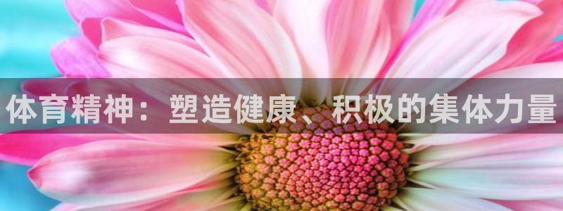 3377体育官网下载平台是正规平台吗知乎