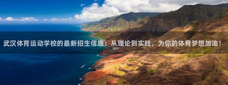 海南3377体育官网下载发展怎么样：武汉体育运动学校的最新招