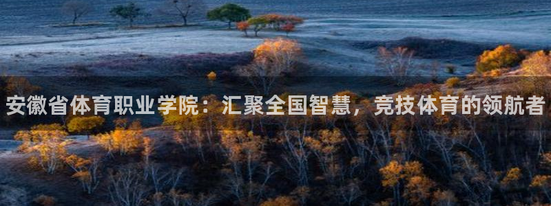 3377体育官方正版app娱乐首页官网下载