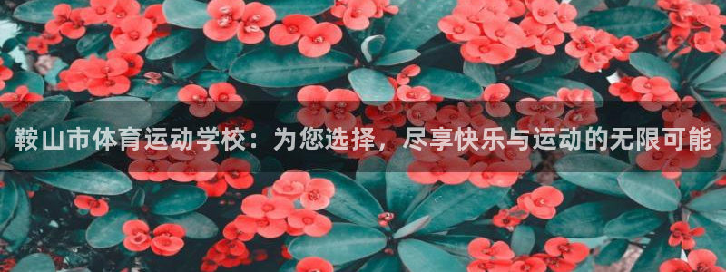 3377体育官方正版app娱乐下载：鞍山市体育运动学校：为您