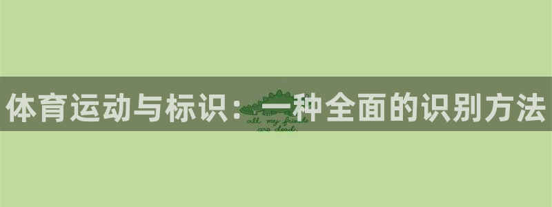 3377体育官方正版app神州