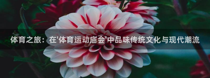 3377体育官方正版app娱乐网站：体育之旅：在\'