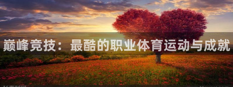 3377体育官方正版app集团logo