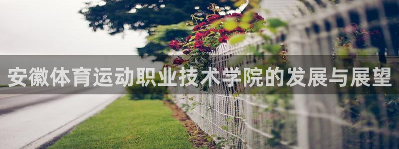 3377体育官方正版app集团E.ON：安徽体育运动
