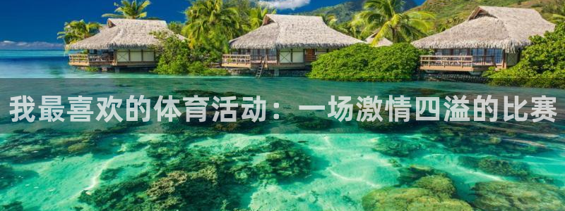 3377体育官方正版app娱乐40996：我最喜欢的体育活动