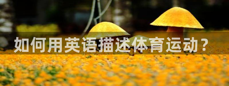 3377体育官方正版app集团logo