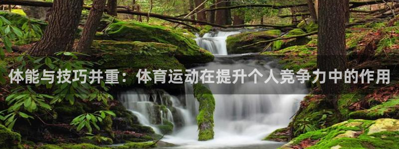 3377体育官方正版app集团简介：体能与技巧并重：体育运动