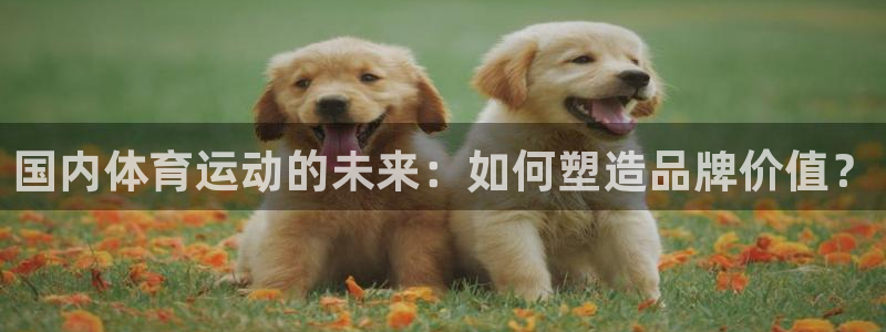 3377体育官方正版app娱乐网站：国内体育运动的未来：如何