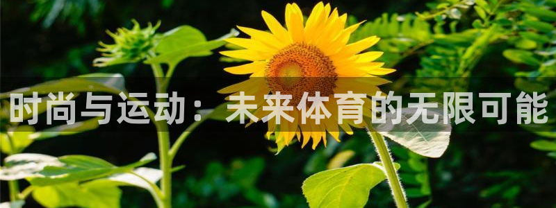 3377体育官方正版app娱乐网站：时尚与运动：未来体育的无