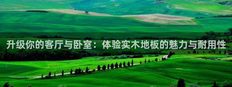 3377体育官网下载招商电话是多少：升级你的客厅与卧