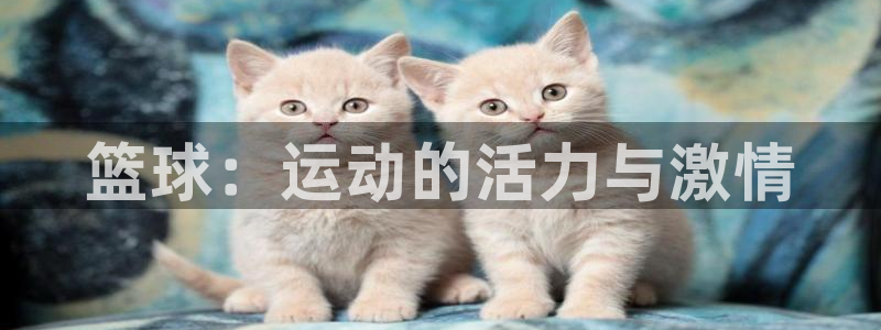 3377体育官方正版app集团简介：篮球：运动的活力与激情