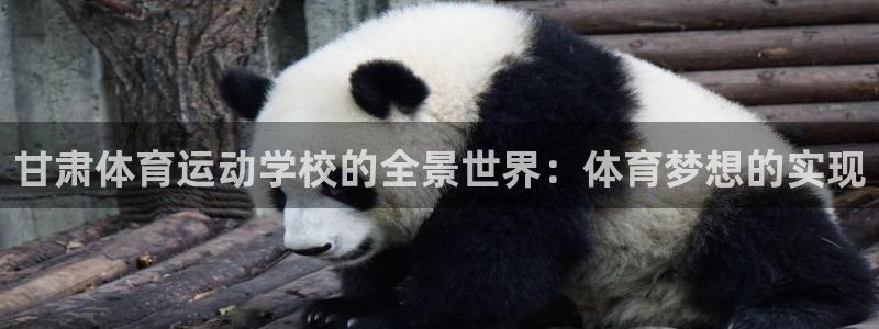 3377体育官网下载招商电话：甘肃体育运动学校的全景