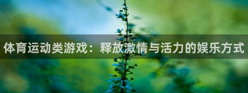 3377体育官方正版app科技：体育运动类游戏：释放