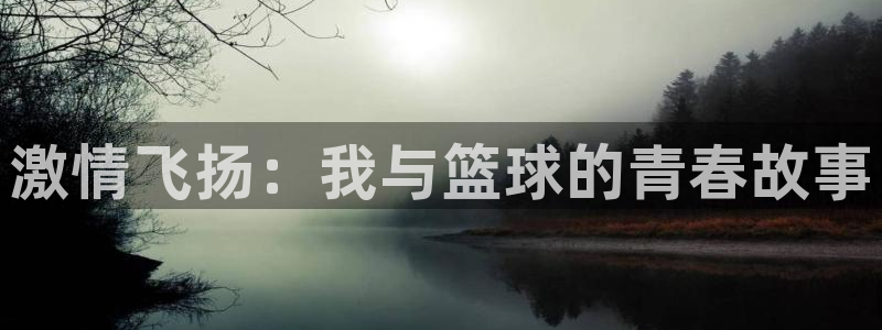 注册3377体育官方正版app：激情飞扬：我与篮球的