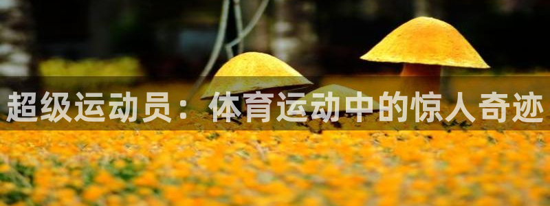 3377体育官网下载平台注册要钱吗是真的吗